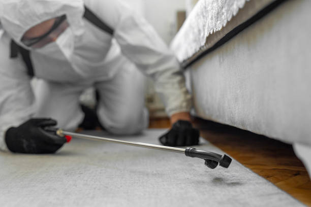Professional Bed Bug Control technician working in Park Falls, WI