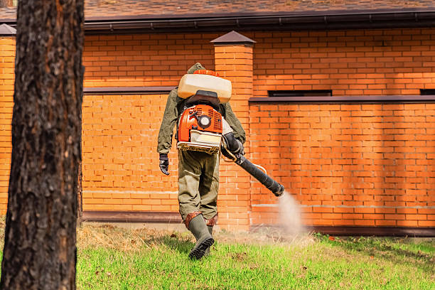 Trusted Rodent Control service in Park Falls, WI - Nex Pest Control